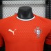 2025 Portugal Home Red Jersey Version Short Sleeve (Player Version)-978011