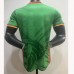 2025 Cameroon Home Green Jersey Version Short Sleeve (Player Version)-3229083