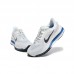 Air PEGASUS PREMIUM SE Running Shoes-White/Black-3692204